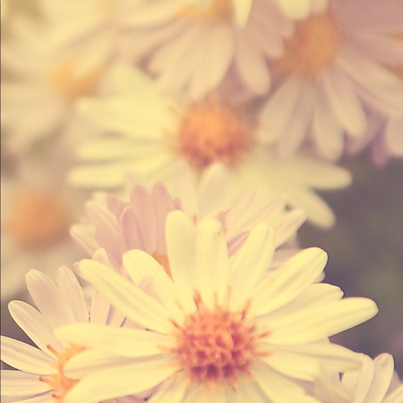 Meet your Posher, Carina - Picture 3 of 12